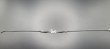 SILVER SINGLE ANKLET