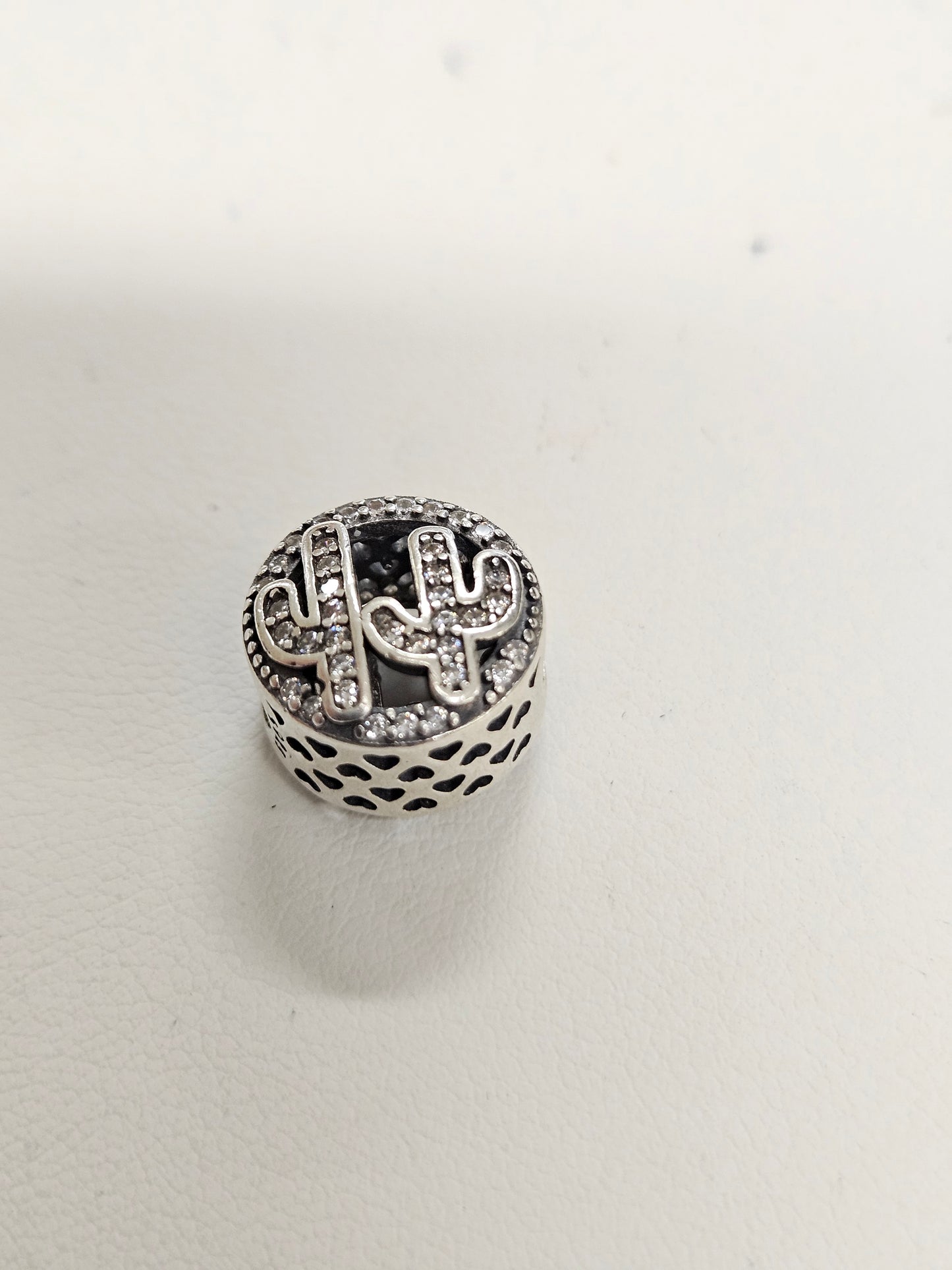 ROUND CACTUS CHARM