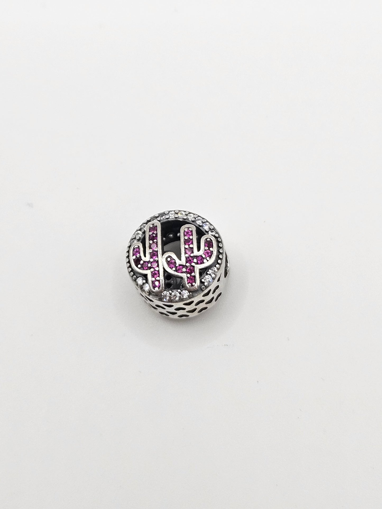 ROUND CACTUS CHARM