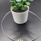 SILVER PENDANT & HASLI STRING CHAIN