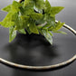 SILVER HASLI STRING CHAIN