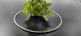 SILVER HASLI STRING CHAIN